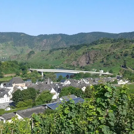 Vakantiehuis Treis Neef